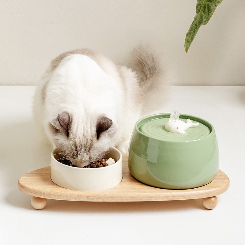Fontaine à eau pour chat en céramique avec filtre – SensSwing