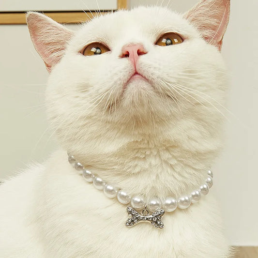 Collier à perles pour chats