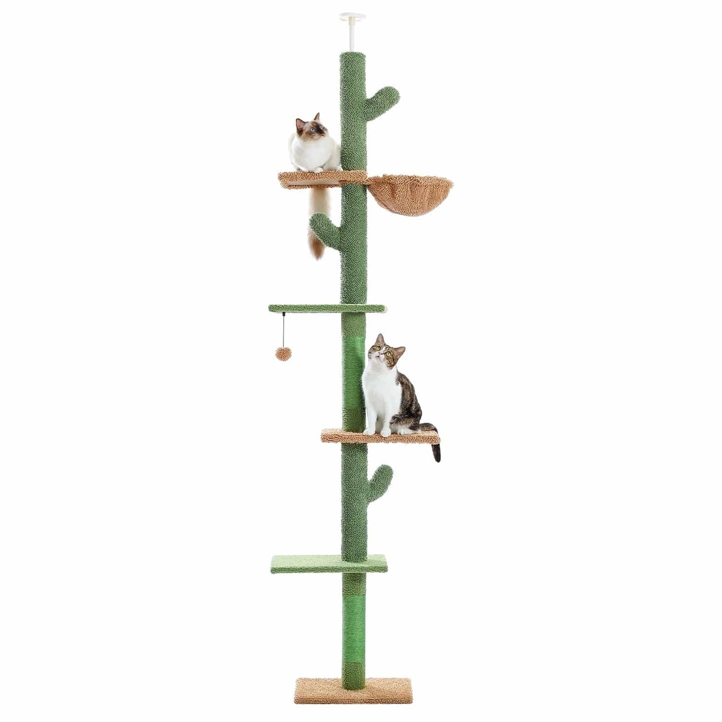 Árbol de gato de cactus vertical de 5 niveles