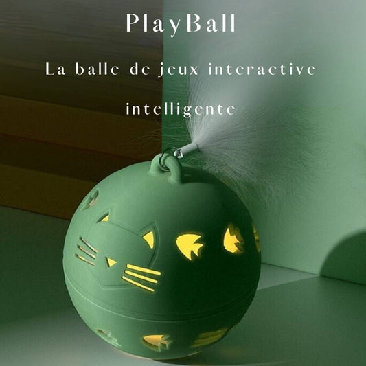 Balle de jeux interactive pour chat PlayBall™