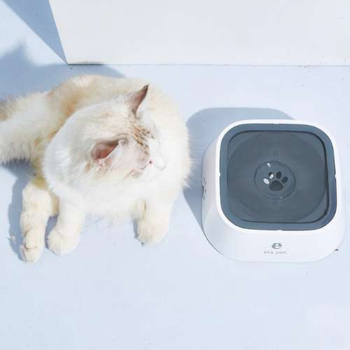 Gamelle d'eau pour chat anti-éclaboussure - AntiSplash™