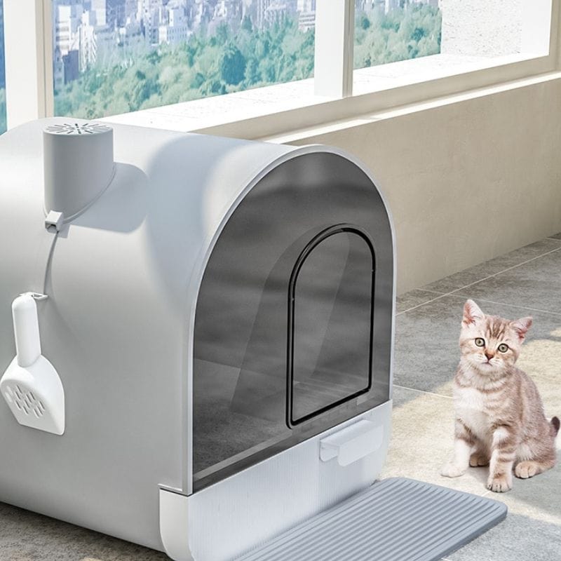 Litière à chat fermée avec filtre anti odeur - SensSwing Site Officiel