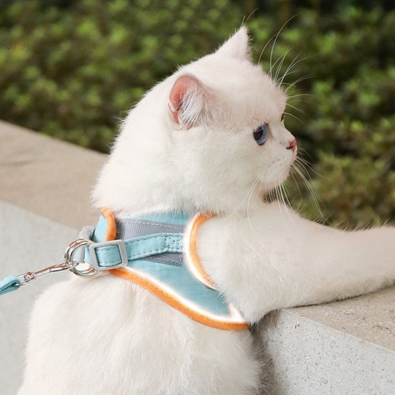 Caway™ Reflective Cat Harness 