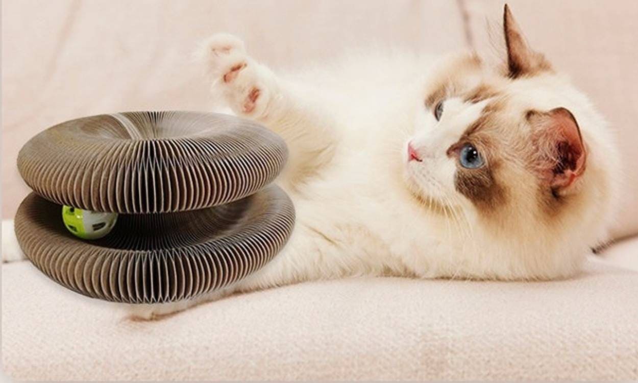Jeu pour chat Magic Scratch ludique en forme d'accordéon