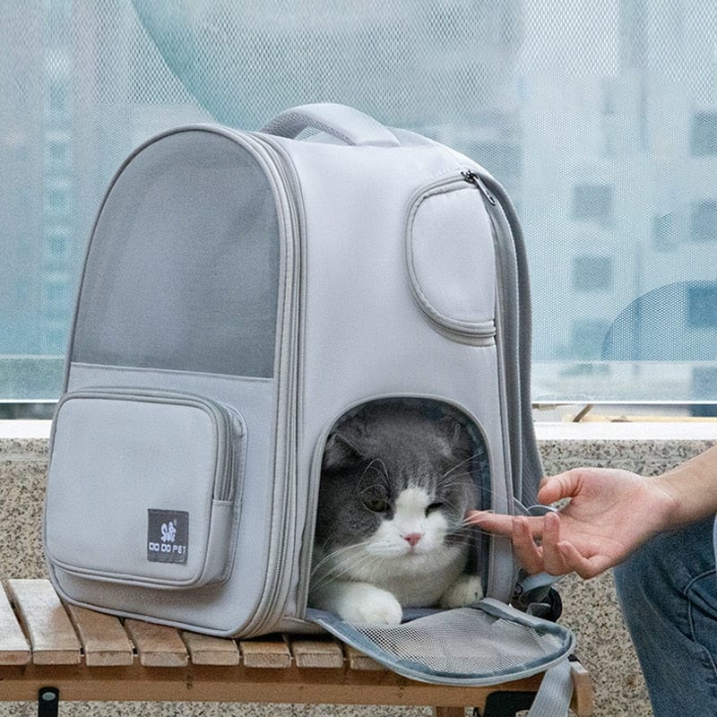 Sac à dos de transport extensible pour chat - Mon Sac à Dos